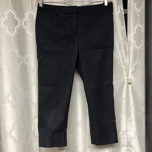 Worn 1x Talbots Perfect Crop pants
